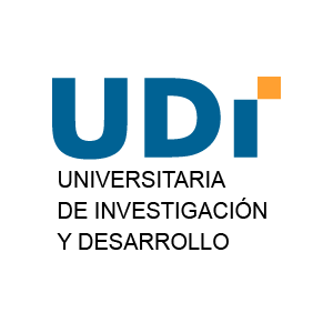 Servicios-Seguridad-Informatica-UDI.png